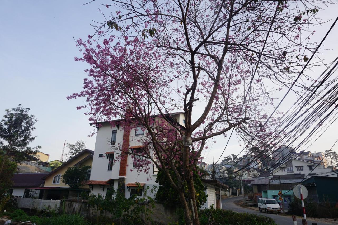 The 1954 House Villa Da Lat Dış mekan fotoğraf