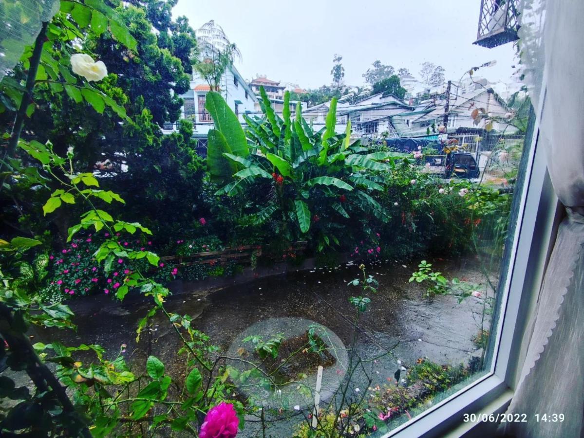 The 1954 House Villa Da Lat Dış mekan fotoğraf